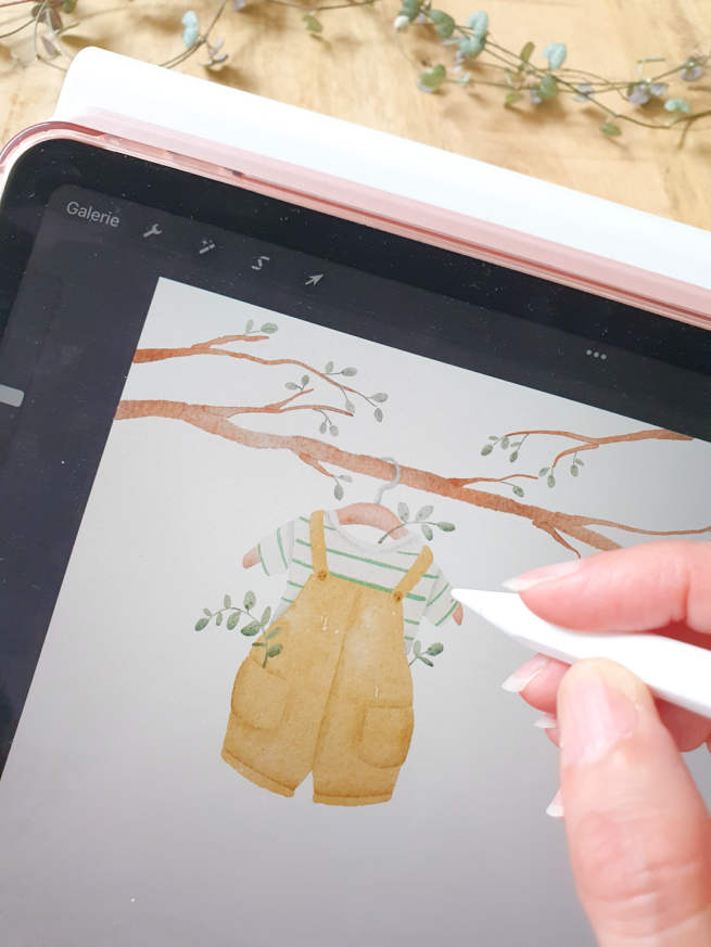 illustration procreate