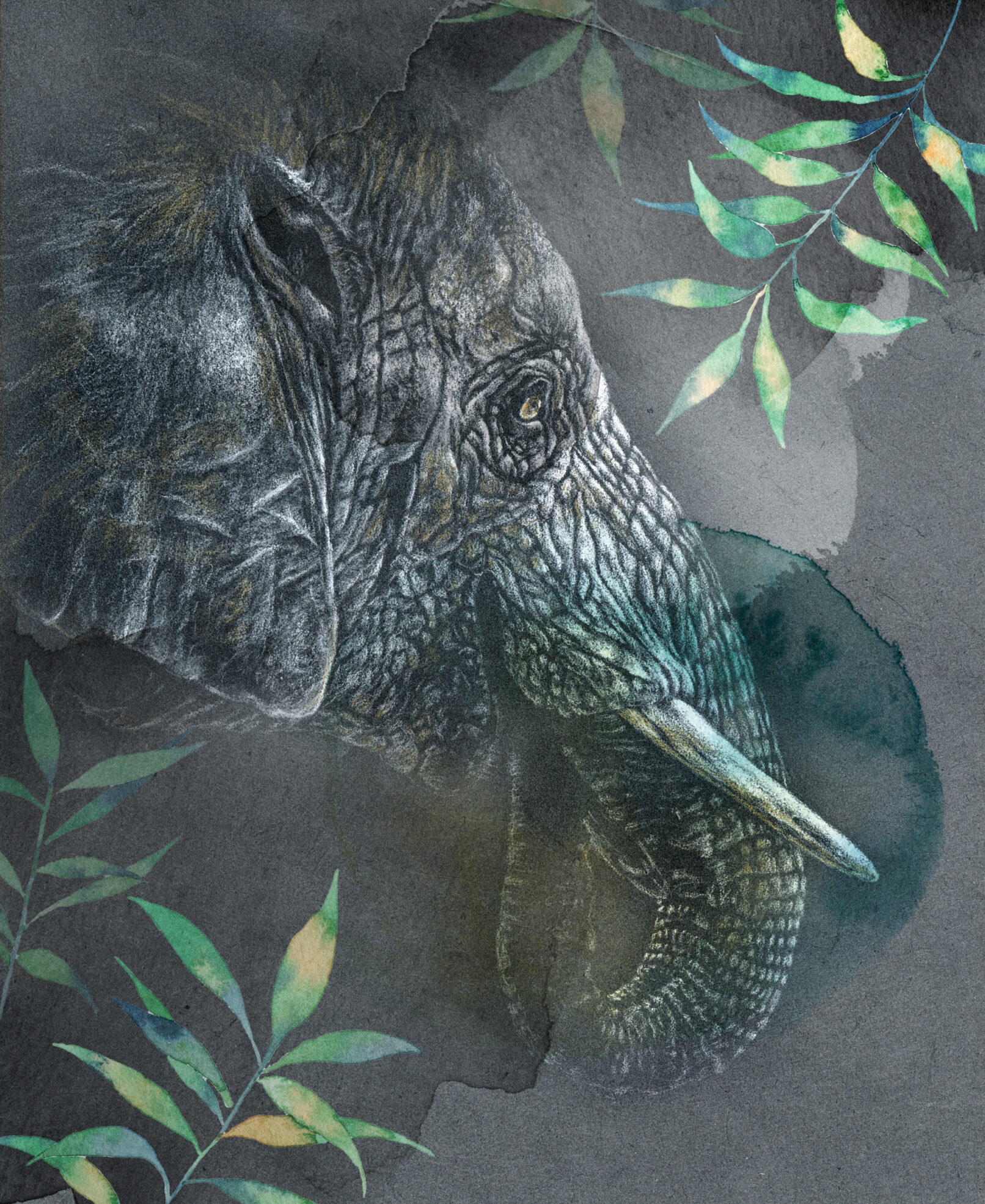 Portrait d'éléphant d'Asie