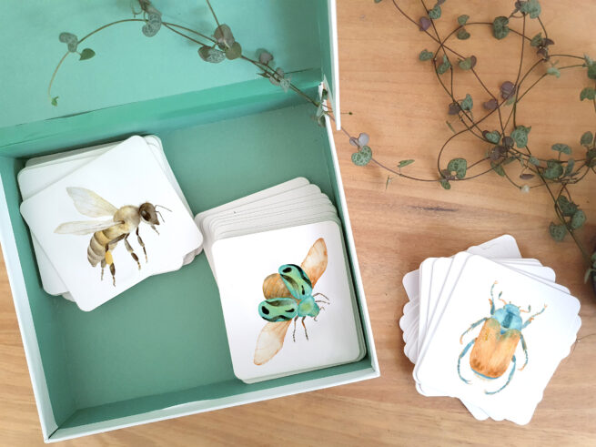 Mock up cartes insectes