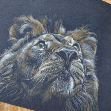 dessin-pastel-lion Dessin original au pastel sec - Lion