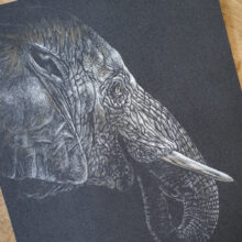 Dessin original au pastel sec - Éléphant d'Asie