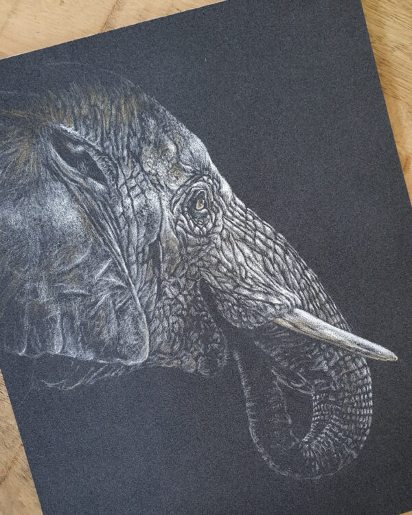 Dessin original au pastel sec - Éléphant d'Asie