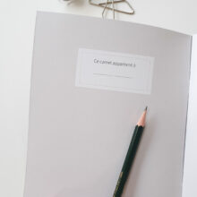 carnet dessin fougeres 3 Intérieur carnet à dessin fougères