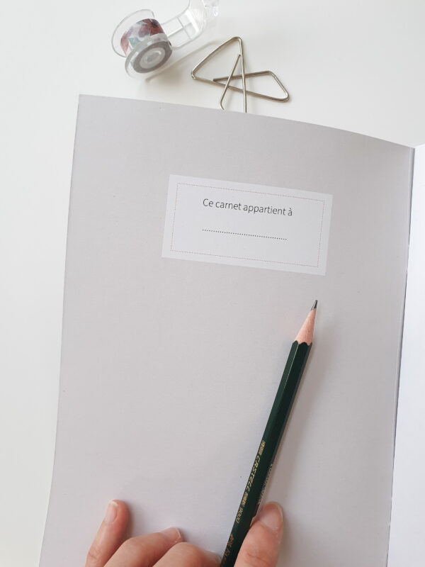 carnet dessin fougeres 3 Intérieur carnet à dessin fougères