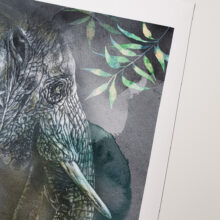 Tirage art Elephant d''Asie