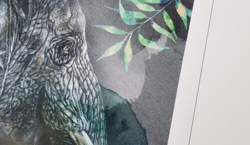 Tirage art Elephant d''Asie