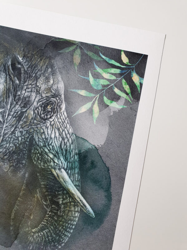 Tirage art Elephant d''Asie