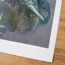 Tirage art Elephant d''Asie