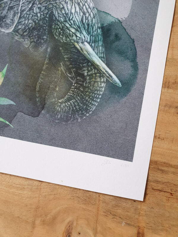 Tirage art Elephant d''Asie