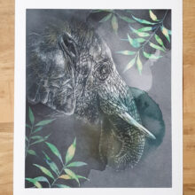 Tirage art Elephant d''Asie