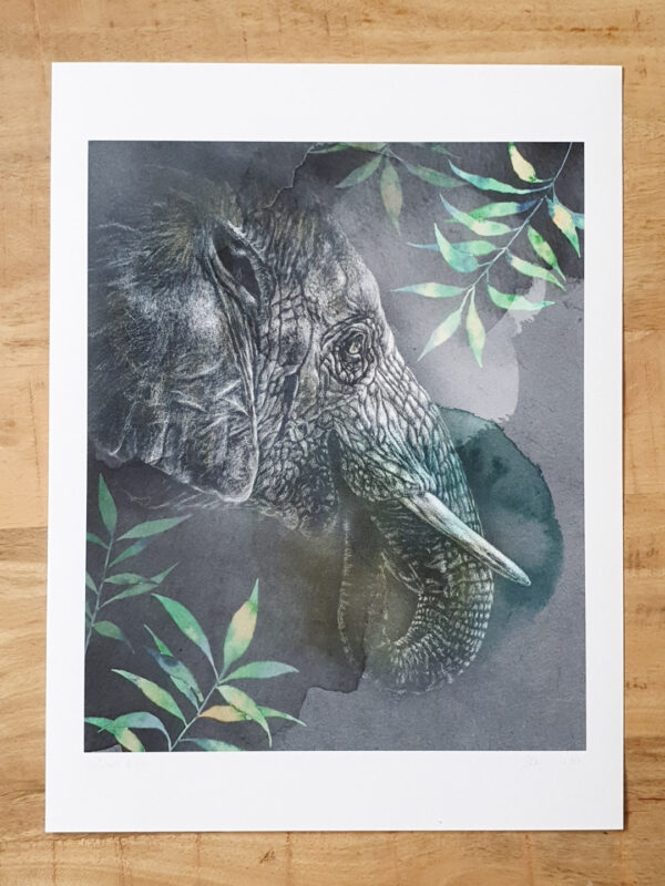 Tirage art Elephant d''Asie