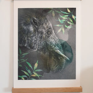 Tirage art Elephant d''Asie
