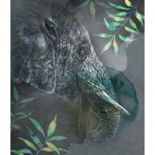 Tirage art Elephant d''Asie