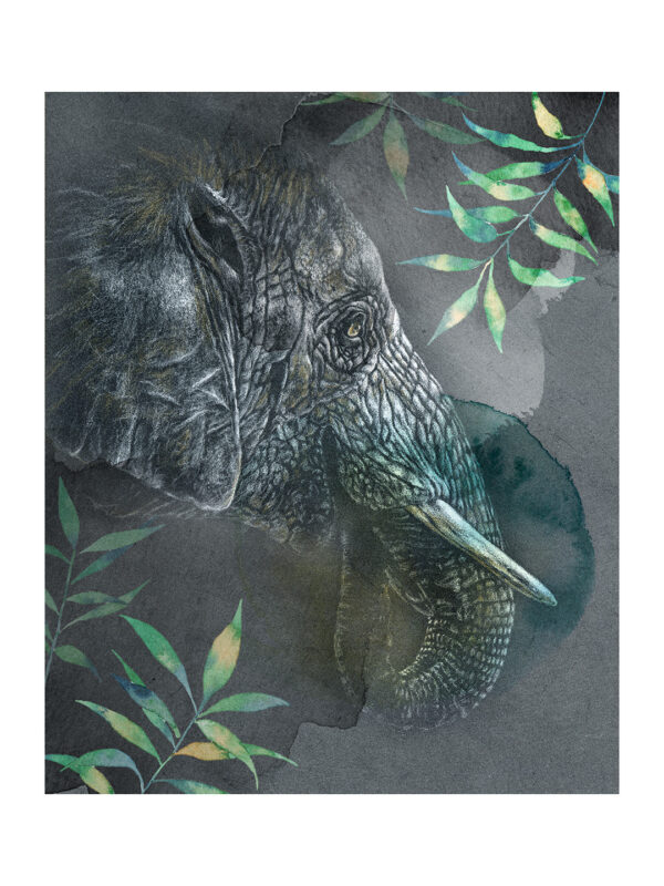 Tirage art Elephant d''Asie