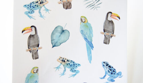 Stickers Amazonie Indigo