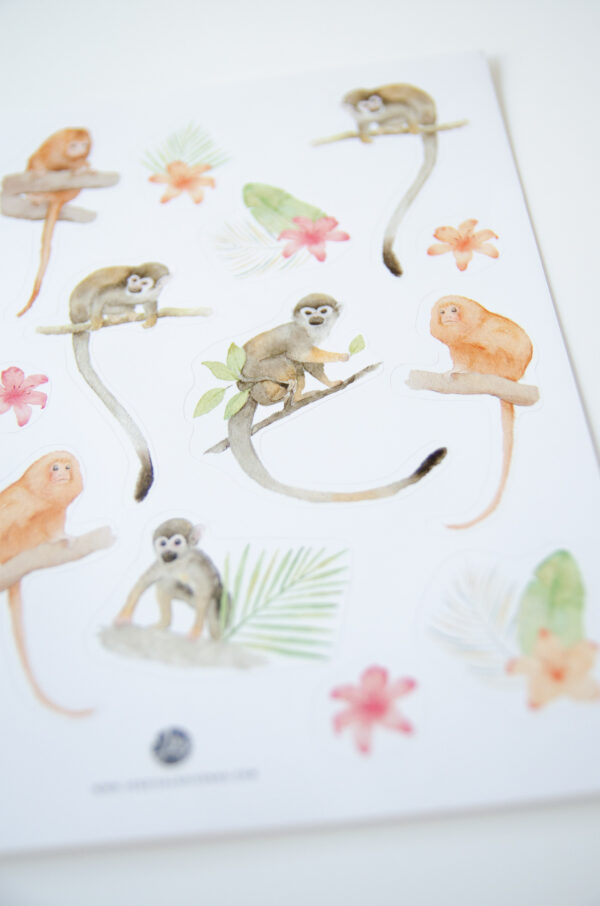 DSC_1132 Stickers Amazonie primates