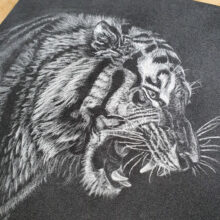 dessin-pastel-tigre Dessin original au pastel sec - Tigre
