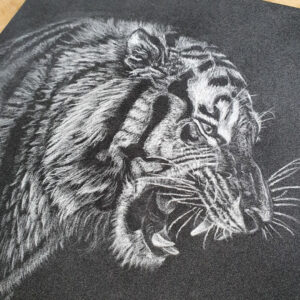 Dessin original au pastel sec - Tigre