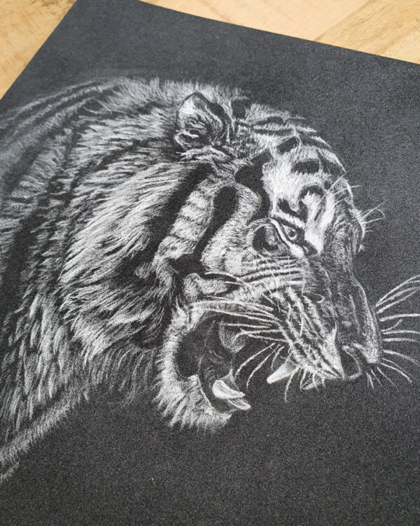 dessin-pastel-tigre Dessin original au pastel sec - Tigre