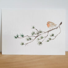 Aquarelle rouge-gorge