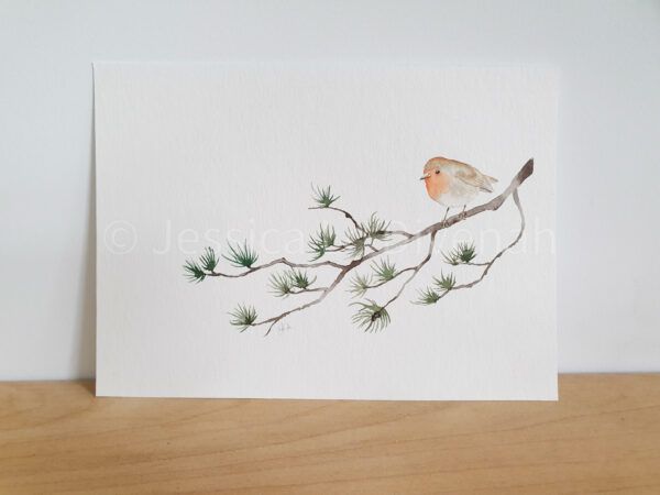 Aquarelle rouge-gorge