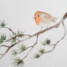 Aquarelle rouge-gorge