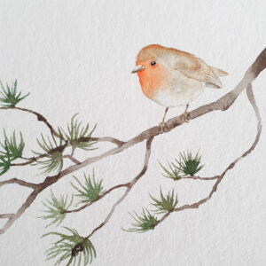 Aquarelle rouge-gorge