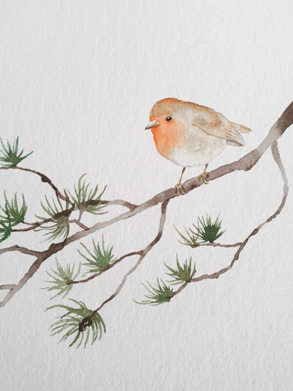 Aquarelle rouge-gorge