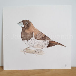 Illustration originale moineau du japon