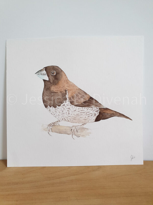 Illustration originale moineau du japon