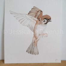 Illustration originale moineau du japon