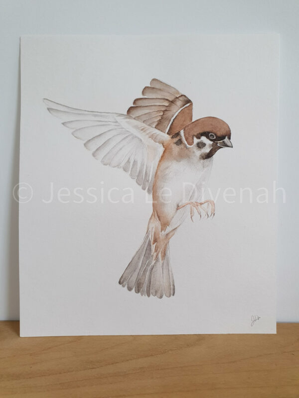 Illustration originale moineau du japon