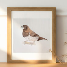 Illustration originale moineau du japon