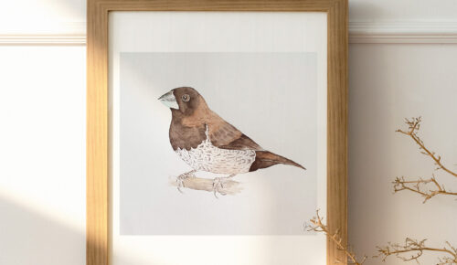 Illustration originale moineau du japon