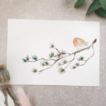 Aquarelle rouge-gorge