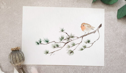 Aquarelle rouge-gorge