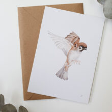 moineau-japon-1 Carte postale moineau du Japon en vol