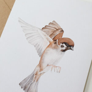 Carte postale moineau du Japon en vol