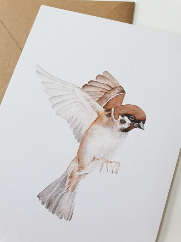 moineau-japon-1 Carte postale moineau du Japon en vol