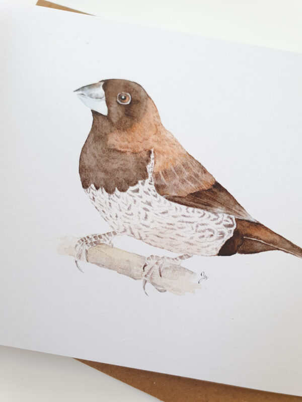 moineau-japon-2 Carte postale moineau du Japon