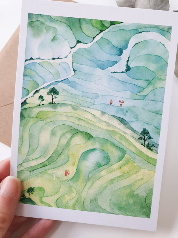 carte-rizières Carte postale rizières