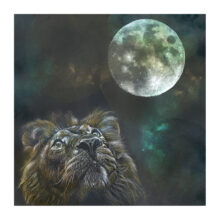 ART008 - Le lion et la lune 40X40 RVB Tirage d'art - Le lion et la lune