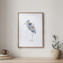 Tirage d'art - Le héron bleu