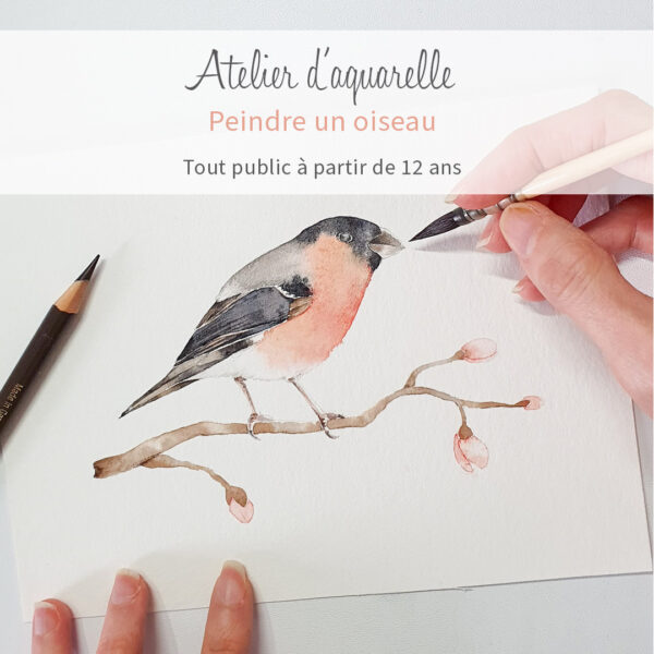 Atelier aquarelle peindre des végétaux